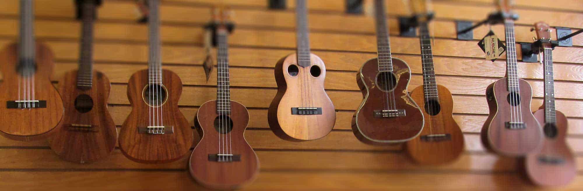 We have a great selection of fine ukuleles and classical instruments.